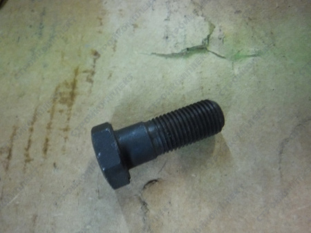 Болт крепления маховик [245-1005127]