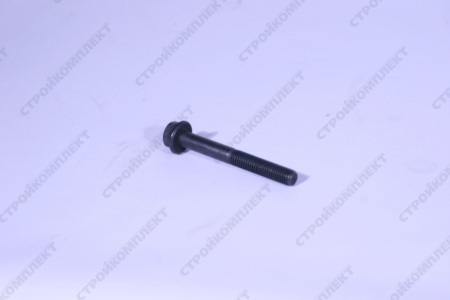 Болт М10-6gx80 [5340.1008504]